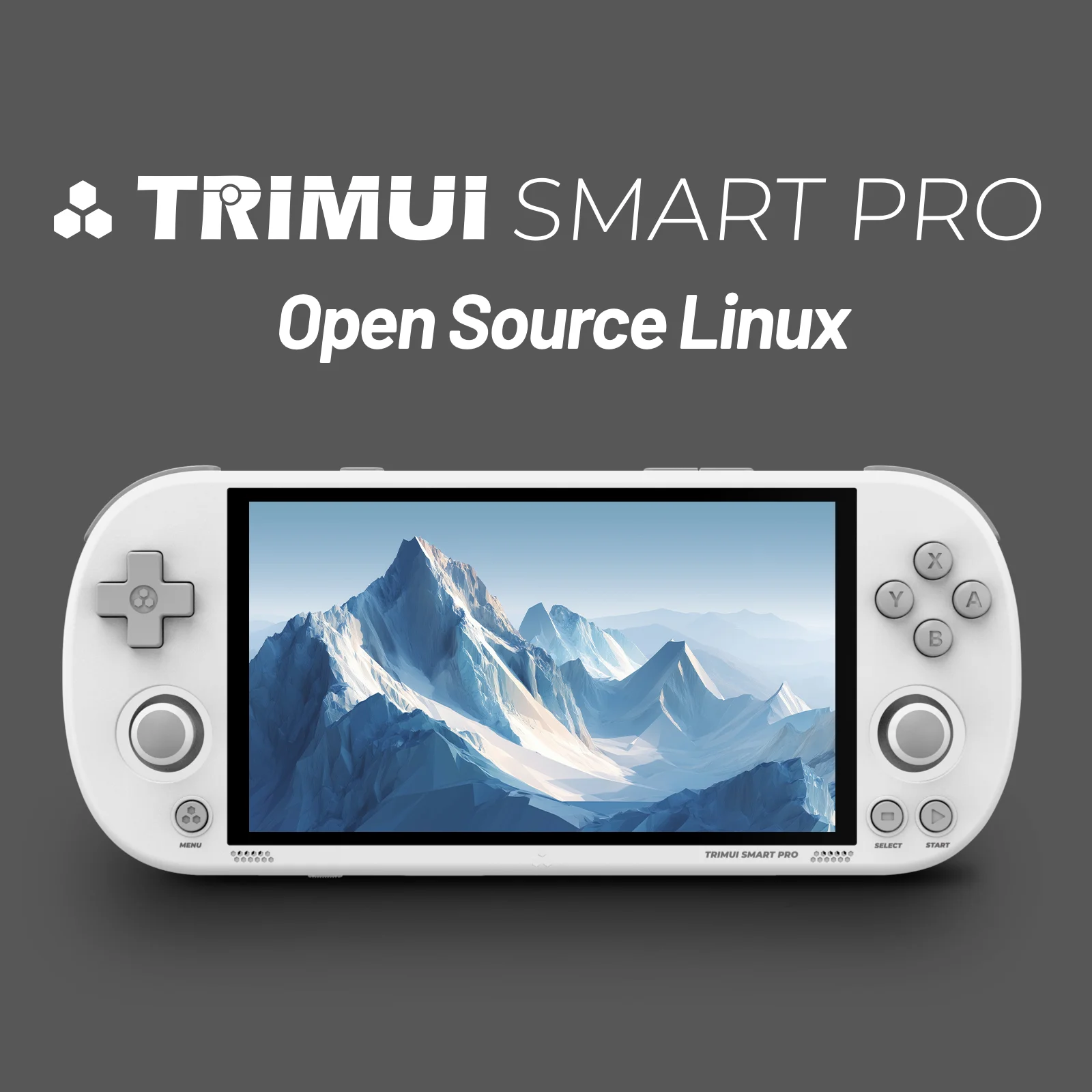 Gaming Console Under 5000 - Trimui Smart Pro 4.96